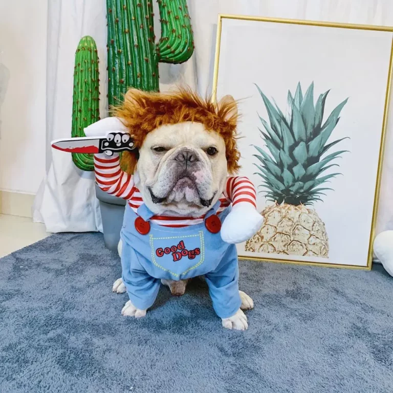 u2 H6a411bb2f0ac4128a971d23b5df9bb62r