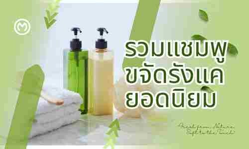 Article รูป บทความ 19