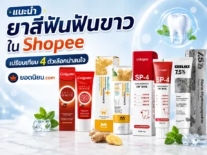 Sitemap แผนผังเว็บไซต์ 66 ChatGPT Image 5 ส.ค. 2569 11 41 58 1